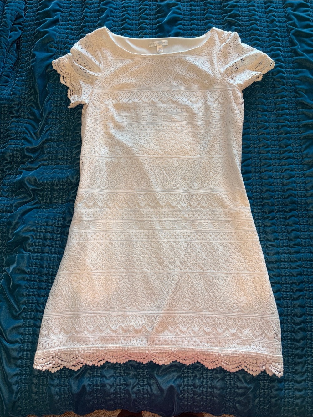 London Times Cream Lace Mini Dress with Scallop Trim